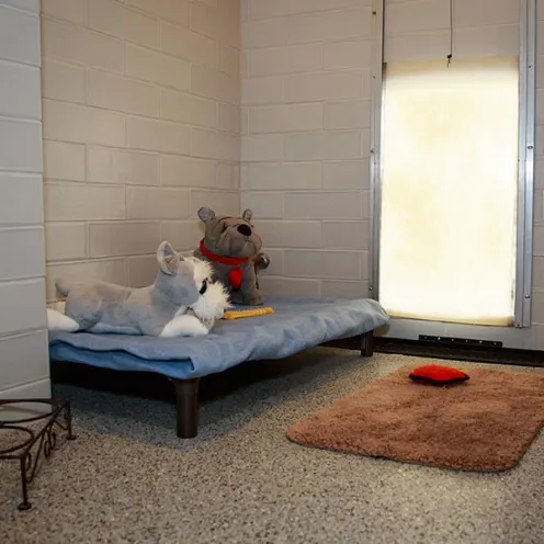 Private room at Happy Tails Pet Resort 